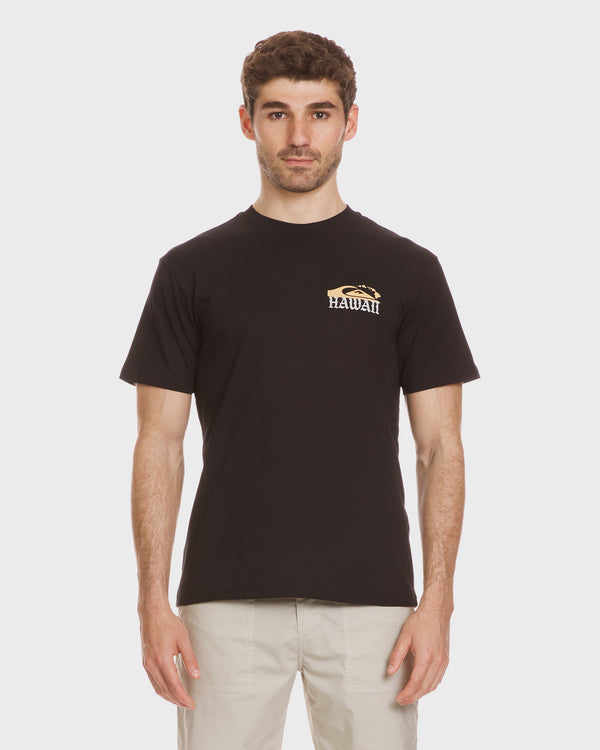 quiksilver Hawaii Island Print T-Shirt