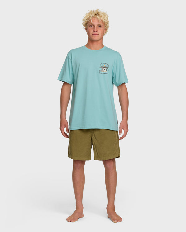 Quiksilver Simple Pleasures T-Shirt