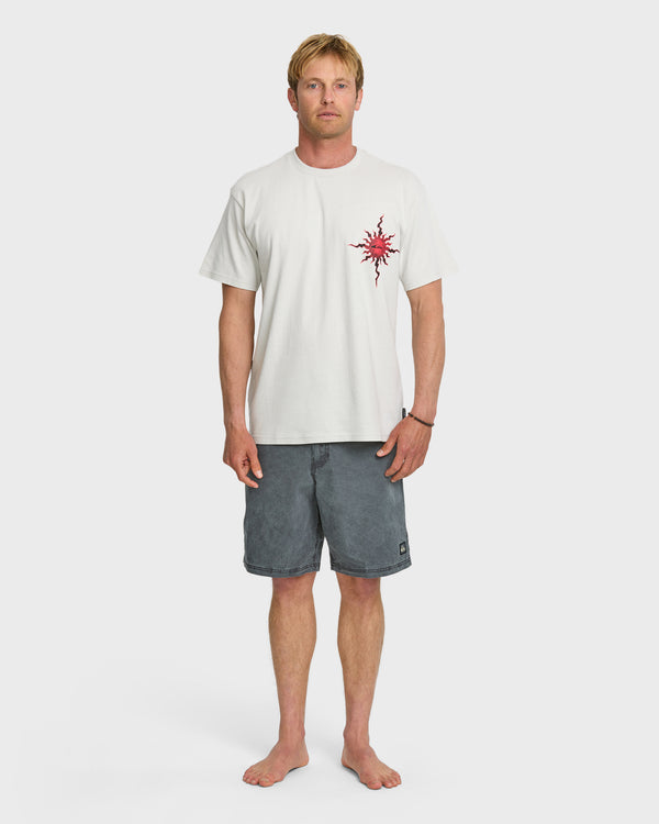 Quiksilver Solaris Mercury T-Shirt