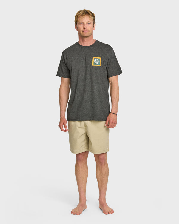 Quiksilver Sun Roots Organic Heather T-Shirt