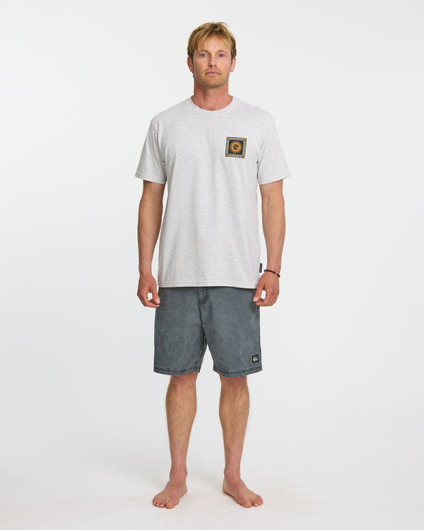 Quiksilver Sun Roots Organic Heather T-Shirt