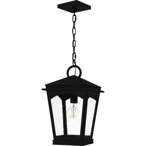 Quoizel Huck 1-Light Earth Black Mini Pendant