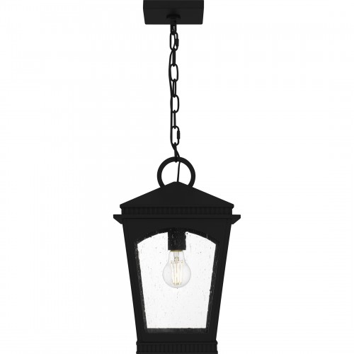 Quoizel Huck 1-Light Earth Black Mini Pendant