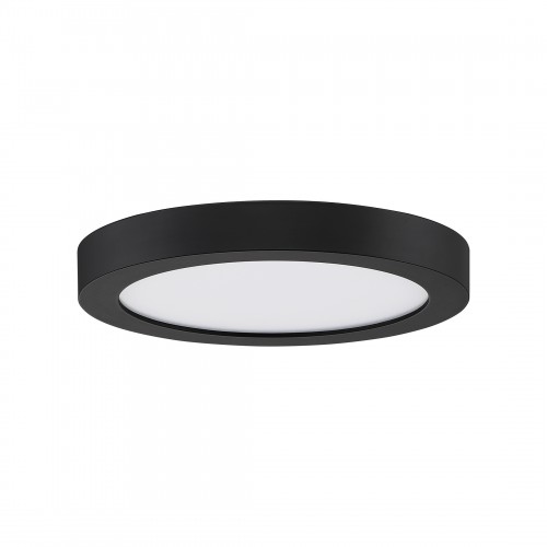 Quoizel Outskirts Flush Mount