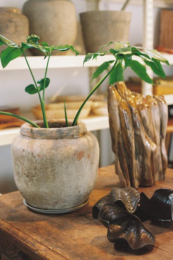 Rabens Saloner Decorative Brass Shell Large I Black