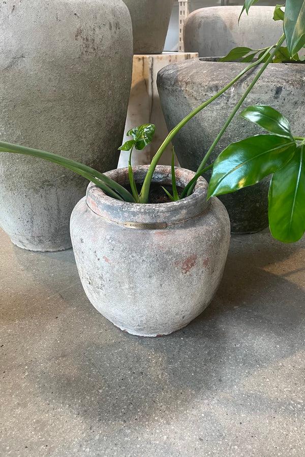 Rabens Saloner Berlin Pot Pot 25 Cm I Clay