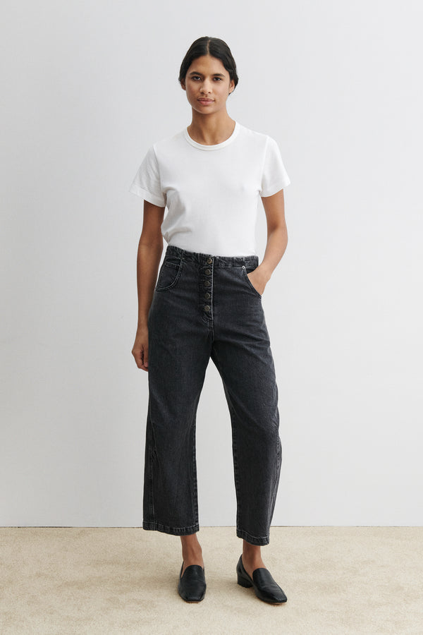 rachel comey Elkin Pant