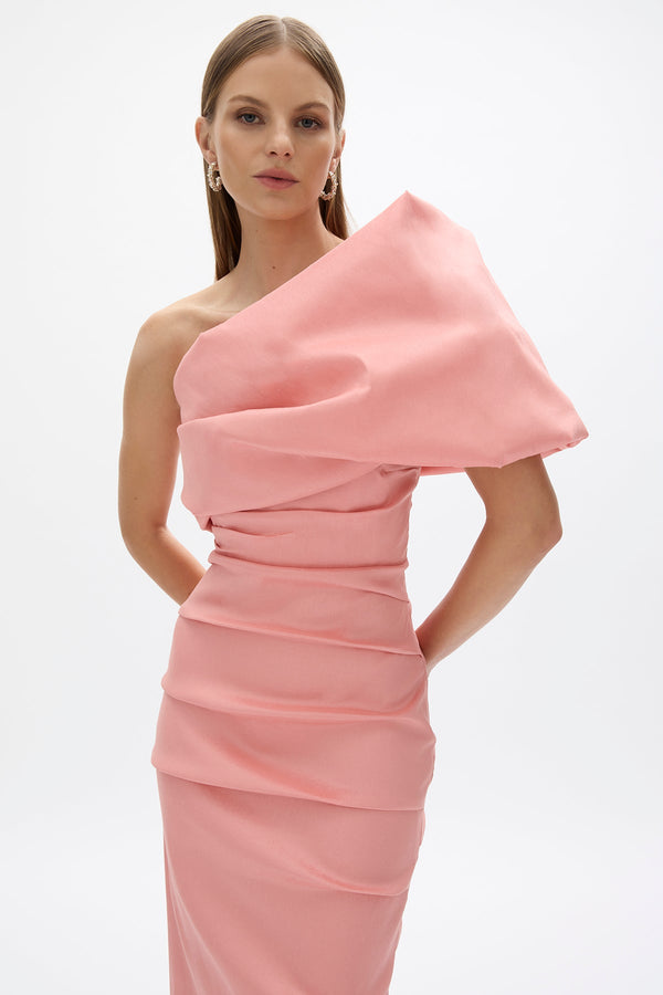 Rachel Gilbert Kat Gown Blush | Shop Rachel Gilbert Online – Rachel Gilbert US