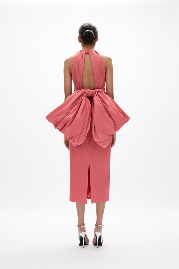 Rachel Gilbert Lottie Dress Rosewater | Shop Rachel Gilbert Online – Rachel Gilbert US