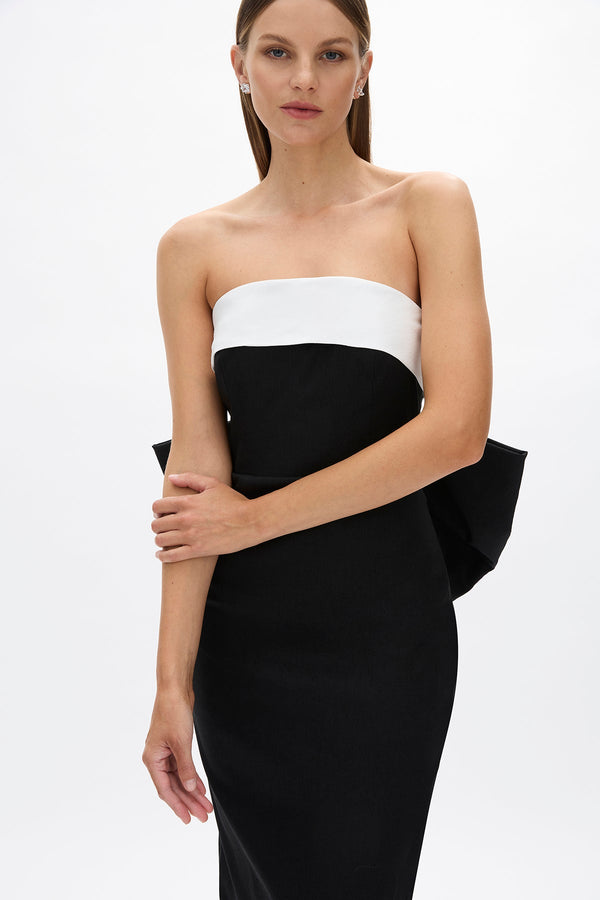 Rachel Gilbert Birdie Dress – Rachel Gilbert US