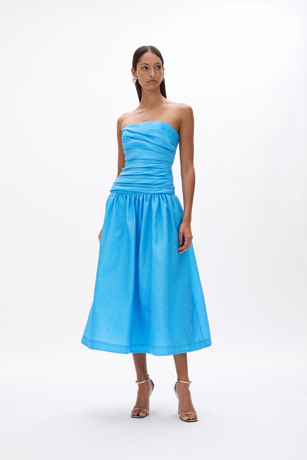 rachel gilbert Sophia Strapless Dress Blue | Shop Rachel Gilbert Online – Rachel Gilbert US