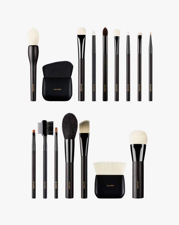 rae morris PRO STARTER BRUSH SET (16 PIECE)