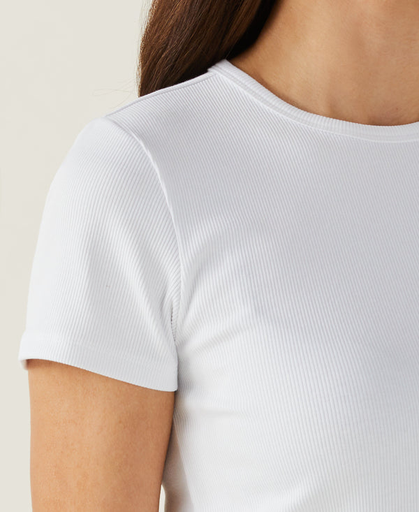 Rafaella Ribbed Crew Neck Tee