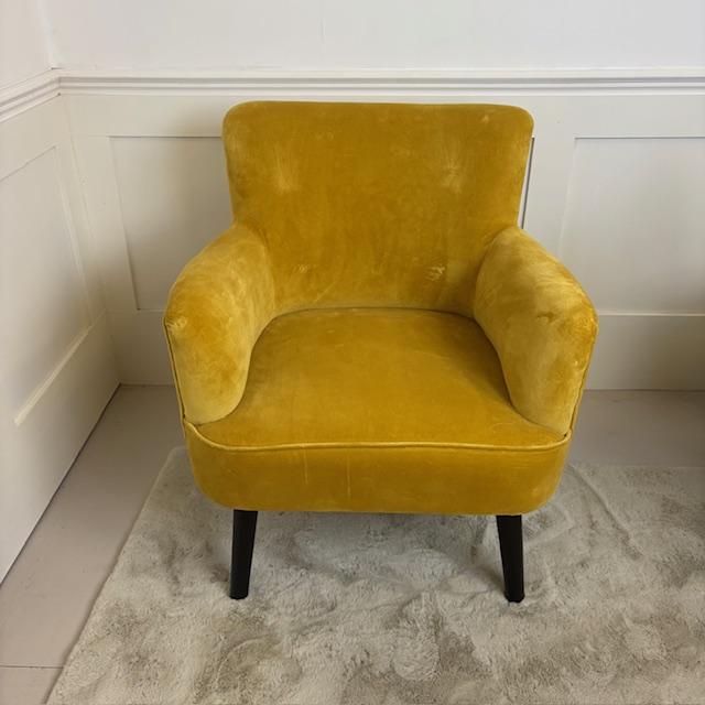Ragged Rose Bentley Gold Velvet Accent Chair