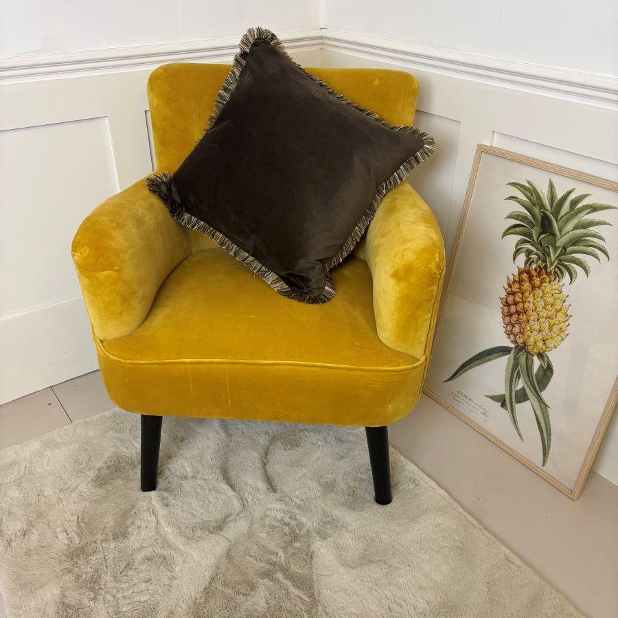 ragged rose Bentley Gold Velvet Accent Chair