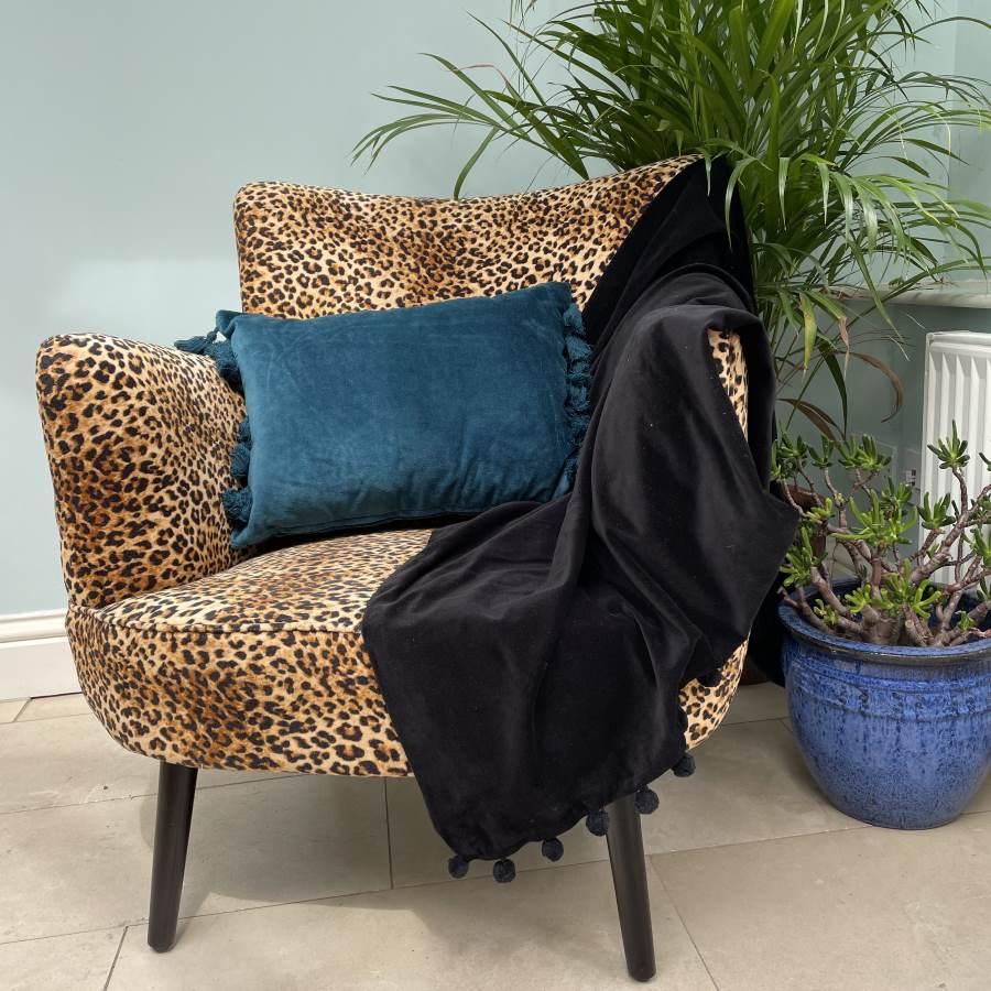 Ragged Rose Black Velvet Throw