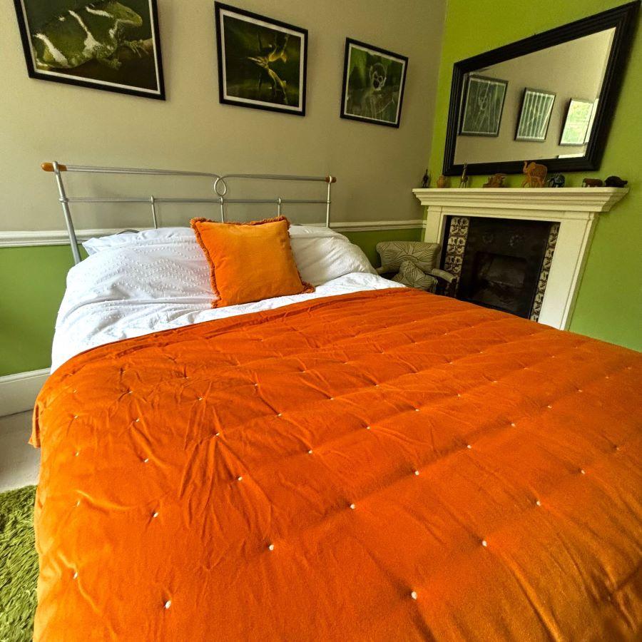ragged rose Lauren Orange Velvet Blanket