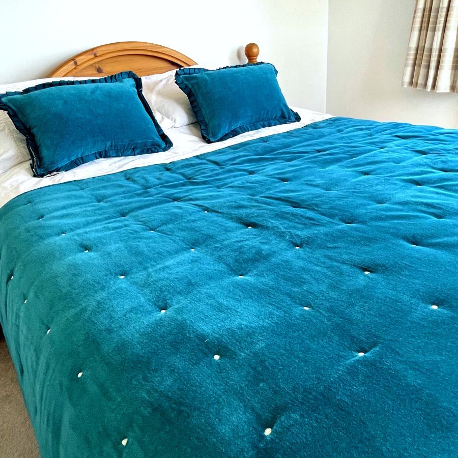 Ragged Rose Lauren Teal Velvet Blanket