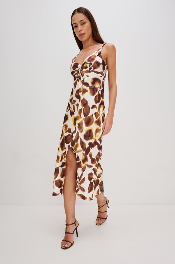 Rails Viviana Dress Espresso Lily