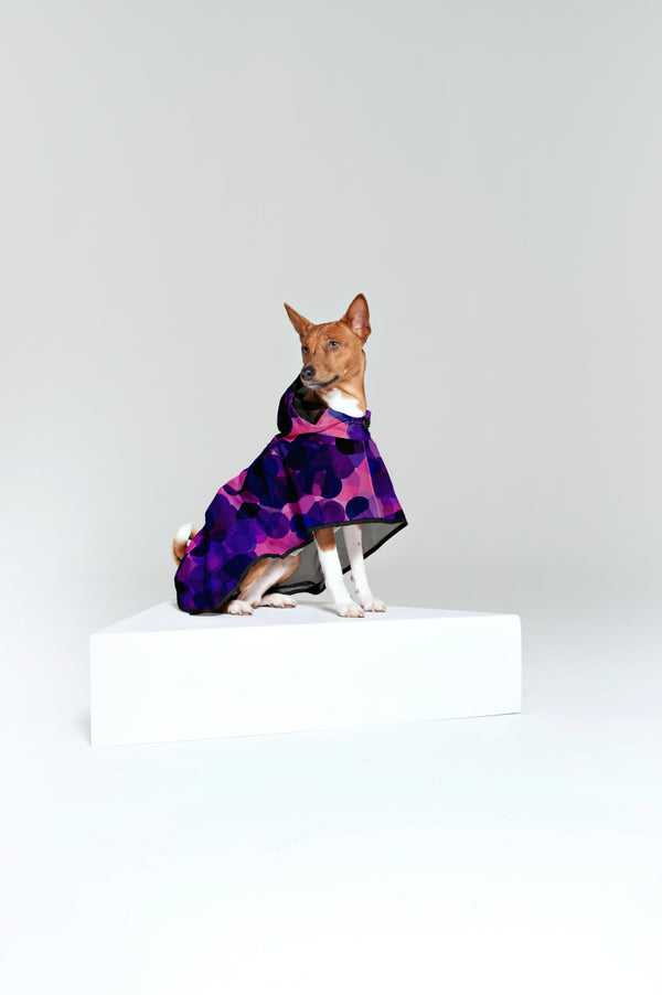 Rainkiss City Lights - Dog Poncho