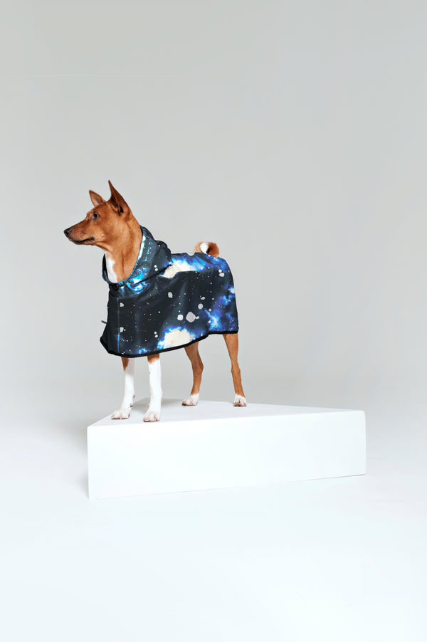 Rainkiss Starry Night - Dog Poncho