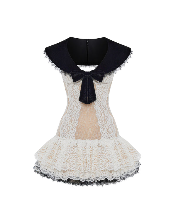 rasario Lace mini dress black/white 126DN002 – RASARIO
