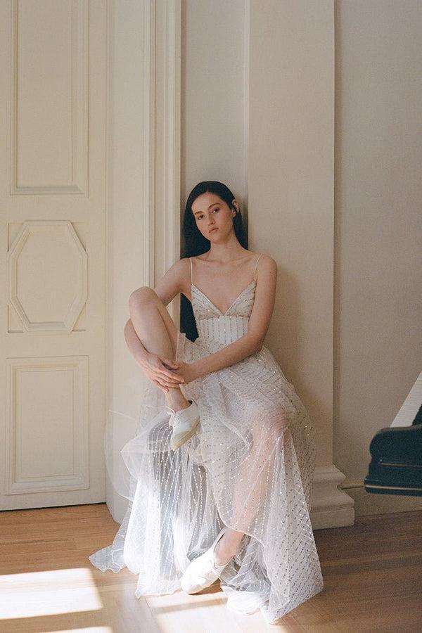 Rasario Sequin Mesh Maxi Dress 009DX002 – RASARIO