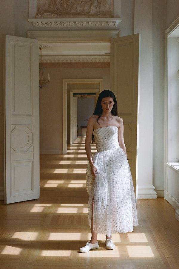 rasario Sequin mesh midi dress 008DD002 – RASARIO