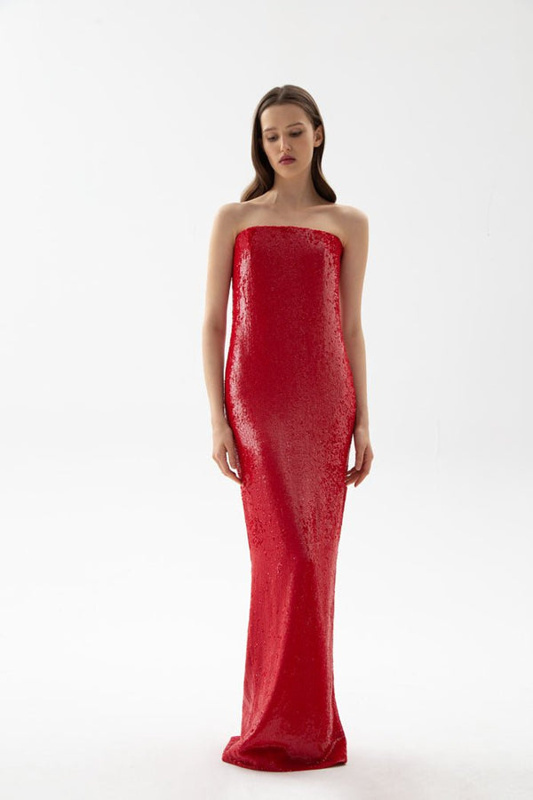 Rasario Sequined Corset Maxi Dress Black F035X010 – RASARIO