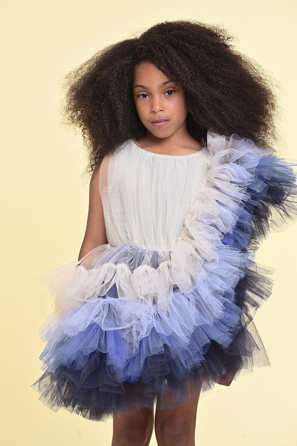 raspberry plum ADA DRESS BLUE – RaspberryPlum