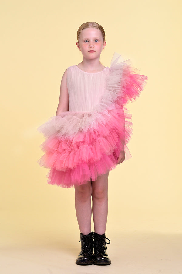 raspberry plum ADA DRESS PINK – RaspberryPlum