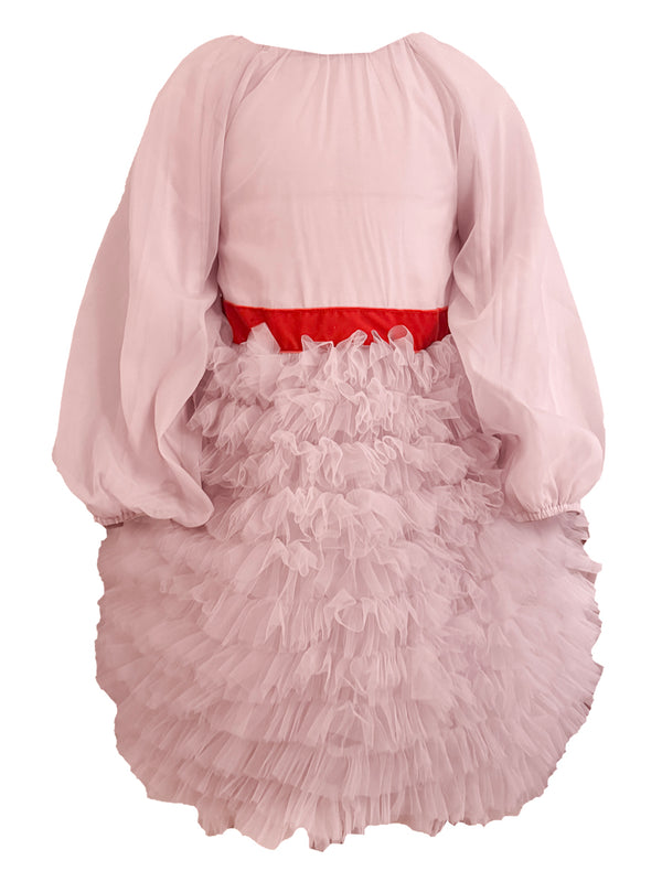 Raspberry Plum BALL DRESS PINK – RaspberryPlum