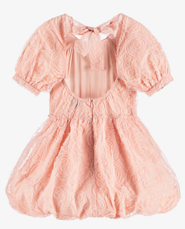 Raspberry Plum CALLISTO DRESS PINK – RaspberryPlum