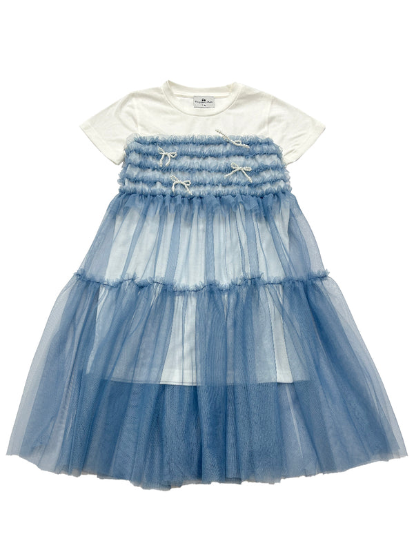 raspberry plum ERICA DRESS BLUE – RaspberryPlum