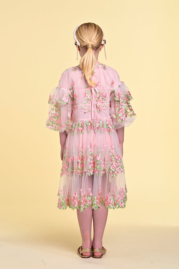 Raspberry Plum LUCILE DRESS PINK – RaspberryPlum