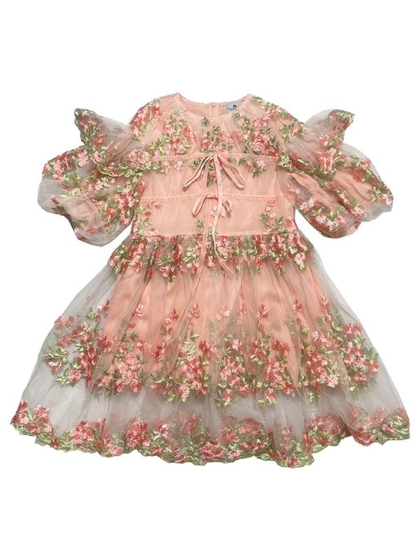 Raspberry Plum LUCILE DRESS PINK – RaspberryPlum