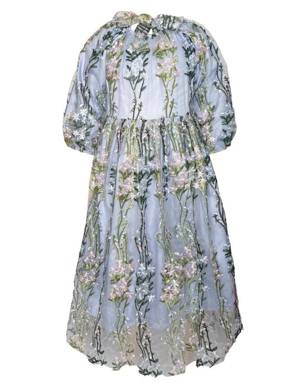 Raspberry Plum MINA DRESS BLUE – RaspberryPlum