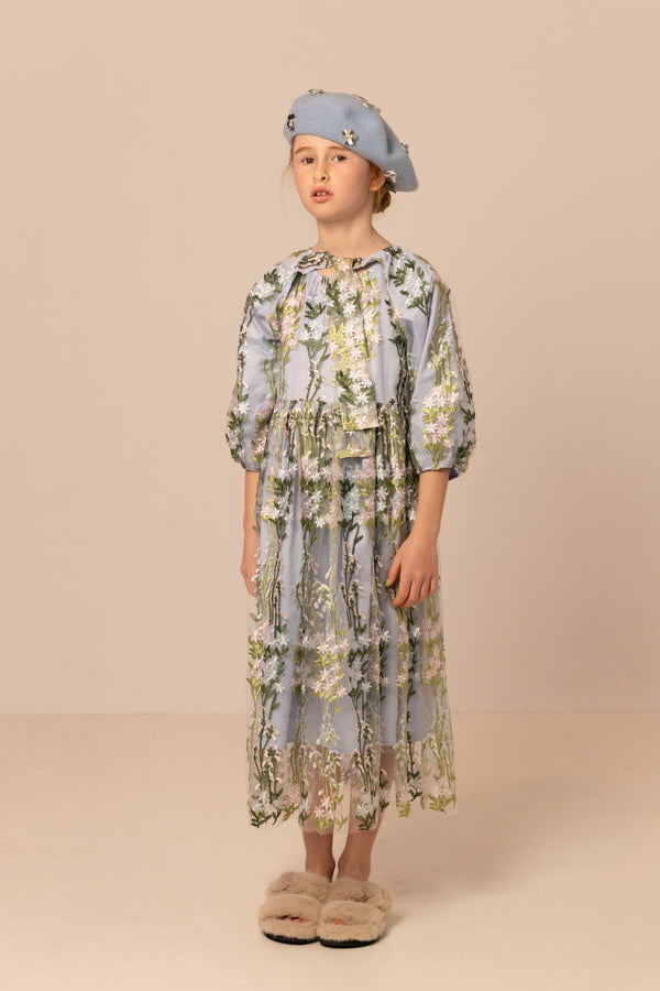 raspberry plum MINA DRESS BLUE – RaspberryPlum