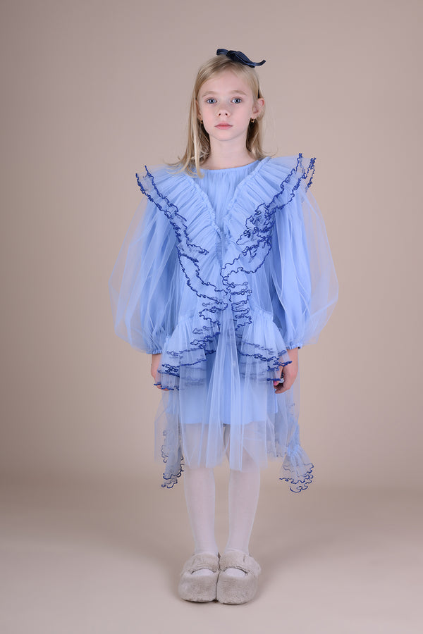 Raspberry Plum ROSELLA DRESS BLUE – RaspberryPlum