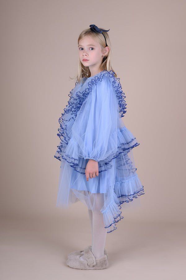 raspberry plum ROSELLA DRESS BLUE – RaspberryPlum