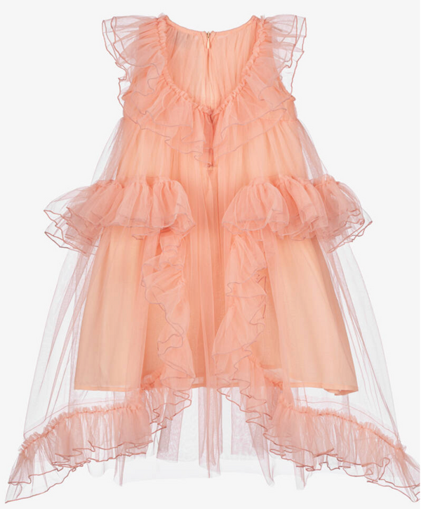 Raspberry Plum ROSELLA DRESS PEACH – RaspberryPlum