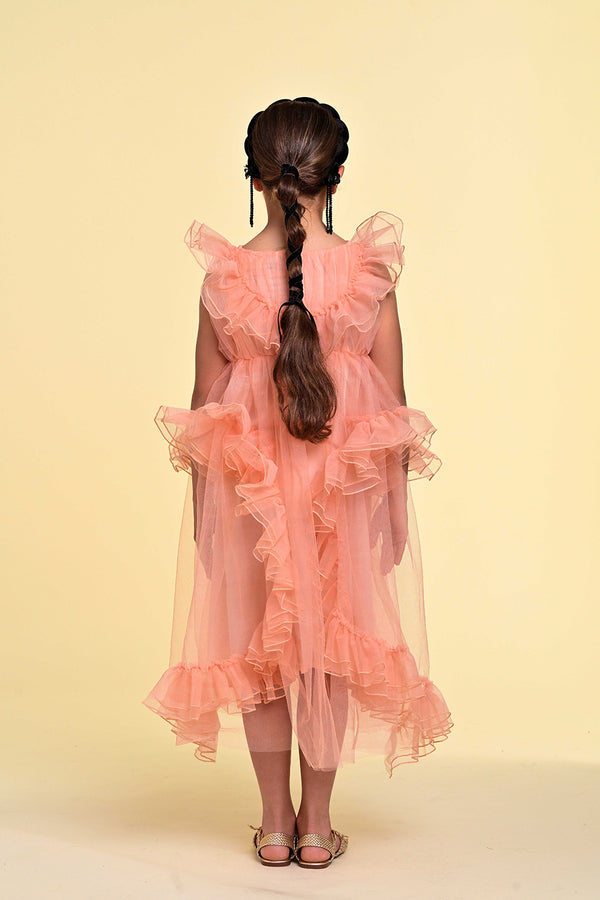 Raspberry Plum ROSELLA DRESS PEACH – RaspberryPlum