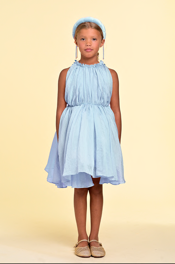 Raspberry Plum SELINE DRESS BLUE – RaspberryPlum