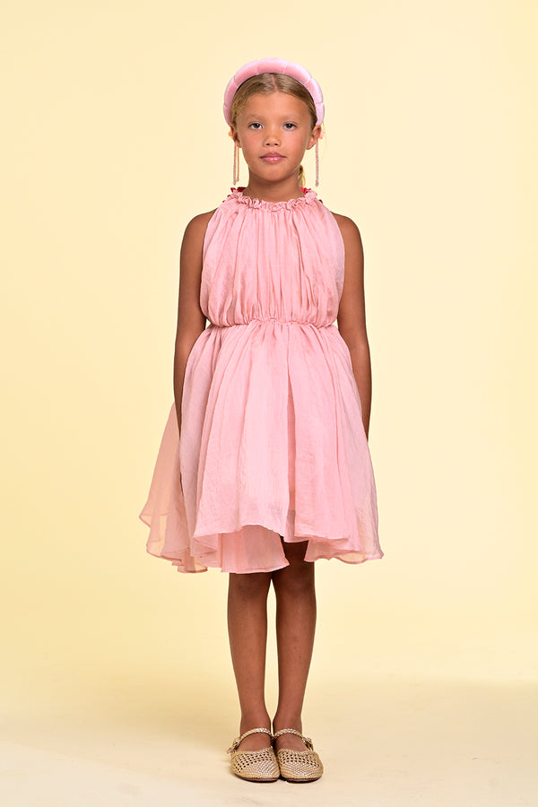 Raspberry Plum SELINE DRESS PINK – RaspberryPlum