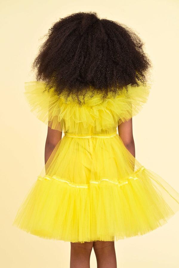 Raspberry Plum SHOSHANA DRESS YELLOW – RaspberryPlum