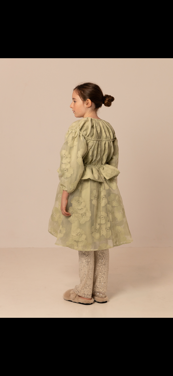 Raspberry Plum TESSA DRESS GREEN – RaspberryPlum