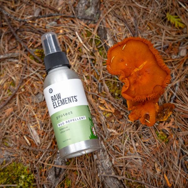Rave Review Natural Bug Repellent Spray (2 Pack) – Raw ElementsUSA