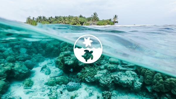 rave review RAW ELEMENTS | Gift Card – Raw ElementsUSA