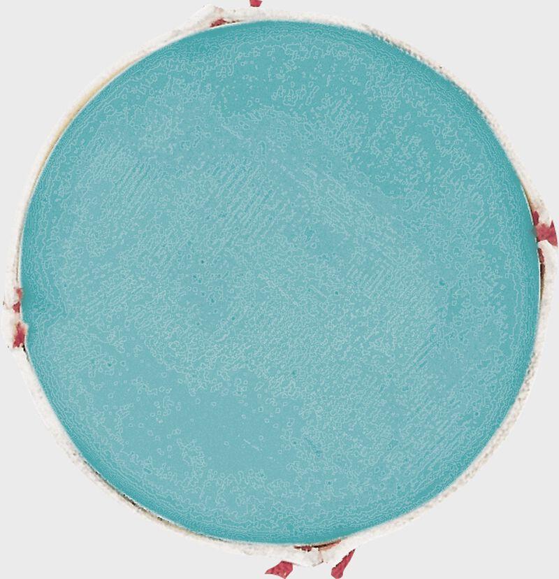 Rawlings Official League Level 5 Training Baseballs Ages 7-10