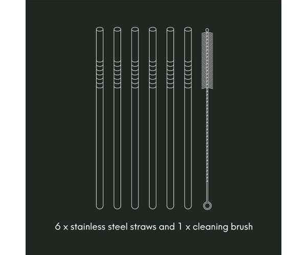 rayware Barware 6pce Long Steel Drinking Straws Gift